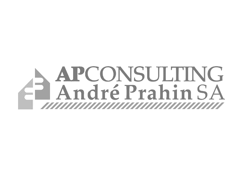 Logo AP Consulting Logo AP Consulting André Prahin SA